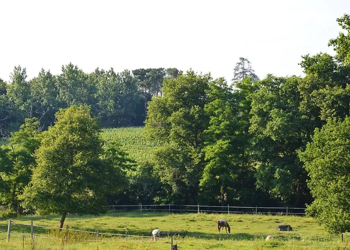 Relais Du Haget 3* Cravencères