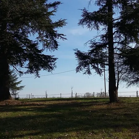 ベッド・アンド・ブレックファスト Relais Du Haget Cravencères
