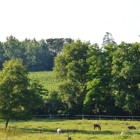 Relais Du Haget 3* Cravencères